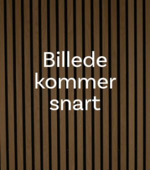 Billede kommer snart